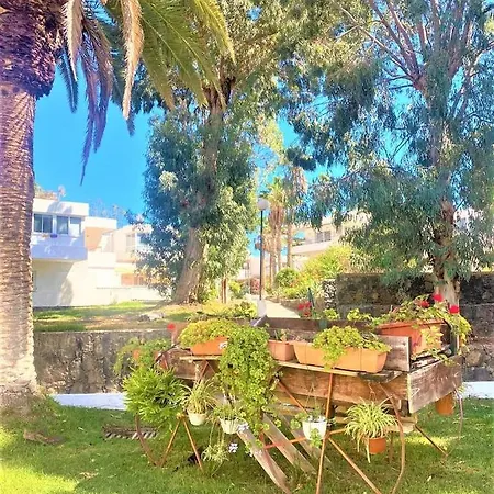 Marysol - Lovely Tenerife Sur * Arona (Tenerife)