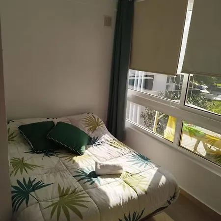 Apartment Marysol - Lovely Tenerife Sur Arona (Tenerife)