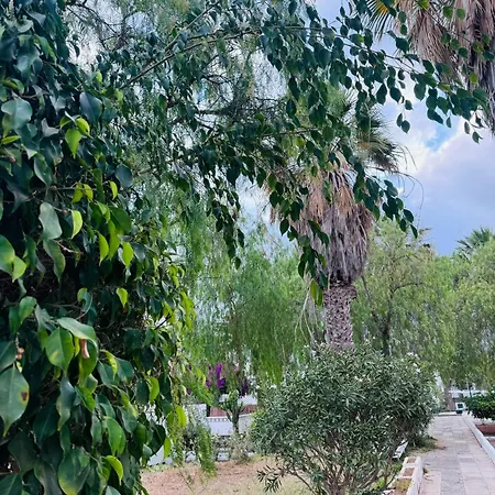 Marysol - Lovely Tenerife Sur