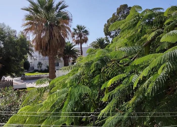 Marysol - Lovely Tenerife Sur *