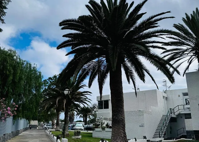 Marysol - Lovely Tenerife Sur Arona (Tenerife)