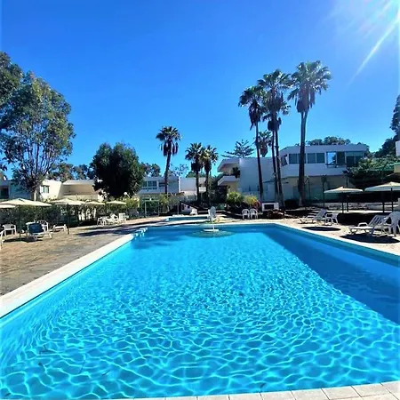 Apartment Marysol - Lovely Tenerife Sur Arona (Tenerife)