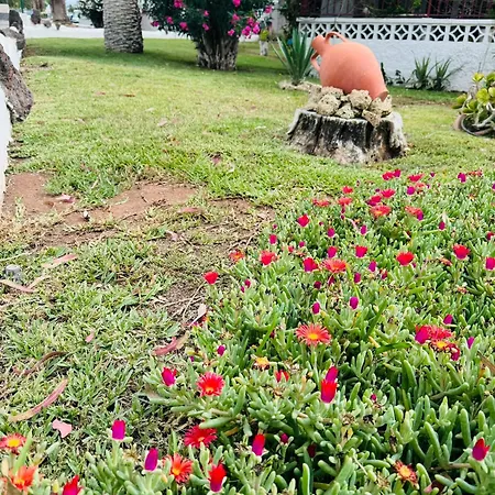 Apartment Marysol - Lovely Tenerife Sur *