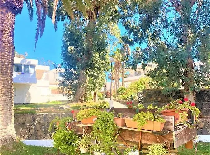 Marysol - Lovely Tenerife Sur * Arona (Tenerife)