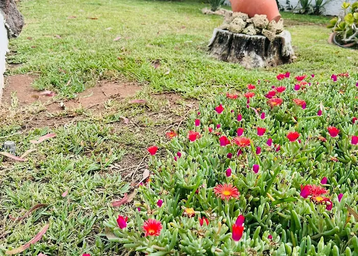 Apartment Marysol - Lovely Tenerife Sur *