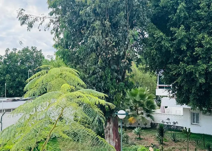 Marysol - Lovely Tenerife Sur Apartment