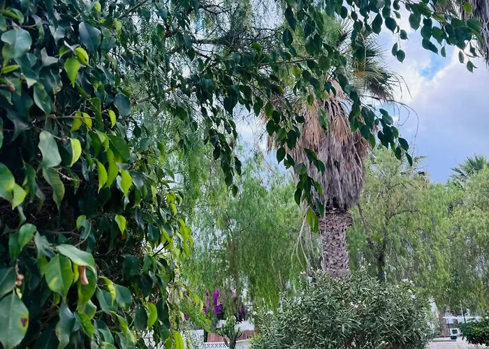 Marysol - Lovely Tenerife Sur